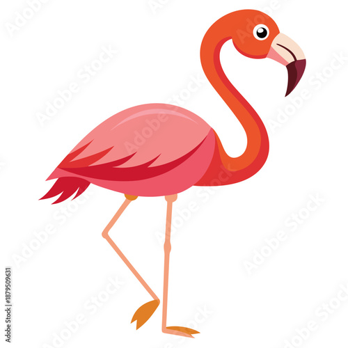 illustration of a flamingo