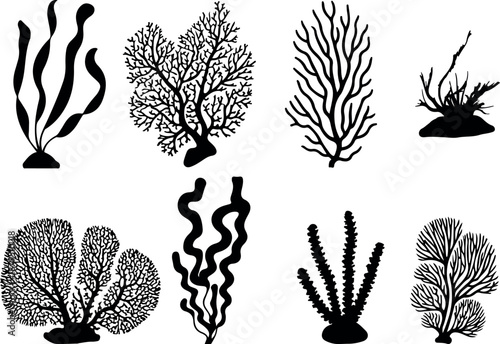 Marine Flora Silhouette Set - Isolated Black Sea Kelp, Algae, and Coral Reef Elements. Decorative Coral and Seaweed Silhouettes for Coastal Branding and Logo Design. 