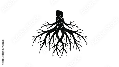 Stylized black tree roots intertwined on a clean white background, symbolizing connection and growth