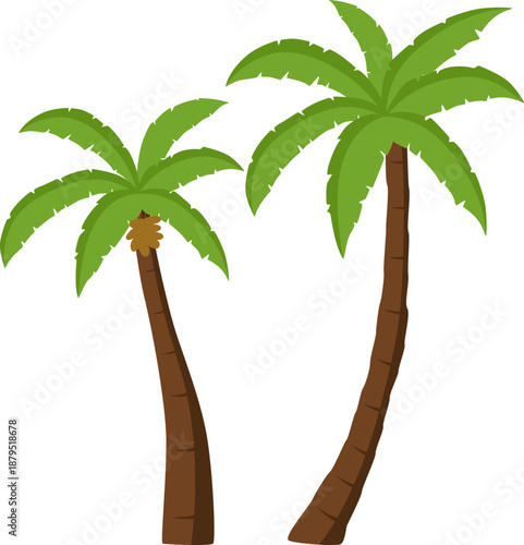 Tropical Palm Tree Illustration