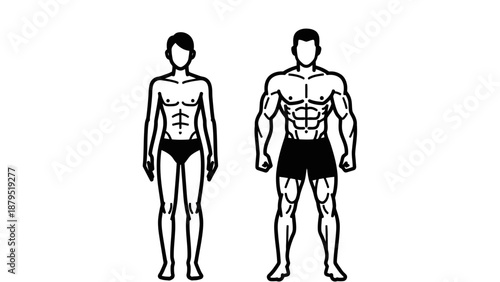 Comparison of a Slim Male Physique Versus a Muscular Athletic Male Body