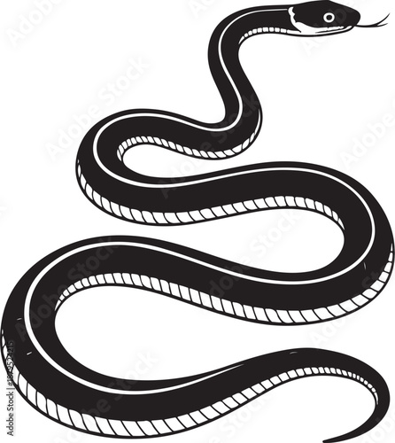 Black Snake Hand-drawn Sketch Drawing Vector Illustration, Line Linear Symbol Engraving Coloring Book, Black and White Isolated