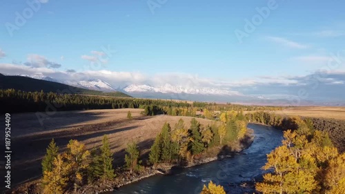 Autumn in the mountains. The yellow forest of larch. Flying on a drone
