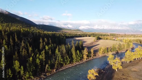 Autumn in the mountains. The yellow forest of larch. Flying on a drone