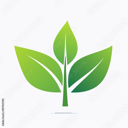Elegant organic leaf symbol in flat vector style, smooth curves, minimal colors, isolated on