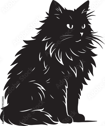 a black cat sitting on a white background with long fur