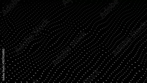 Wallpaper Mural Thin Generate title without using the word "Title:" before it. white dashed lines arranged diagonally on a black background forming a subtle and orderly texture Torontodigital.ca