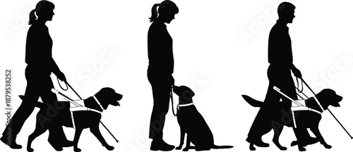 Guide dog silhouette set with visually impaired individuals, walking and training poses, black illustration for disability, support, mobility, awareness