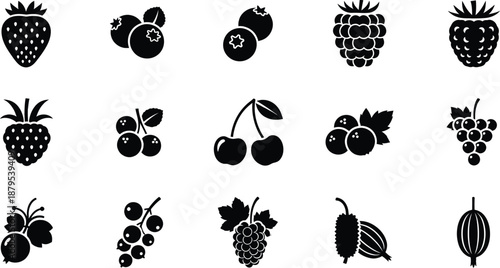 A comprehensive collection of black silhouette icons representing various types of common berries