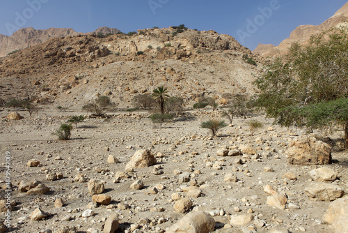 Arid landscape of Ein Gedi Nature Reserve in the Judean Desert, Israel. near the Dead Sea.