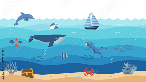 Tropical Sea Life And Beach Equipment Background Illustration
