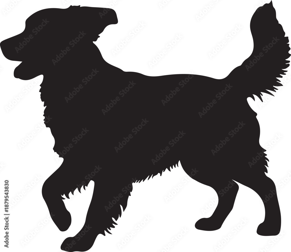 Obraz premium Buddy dog in silhouette white background.