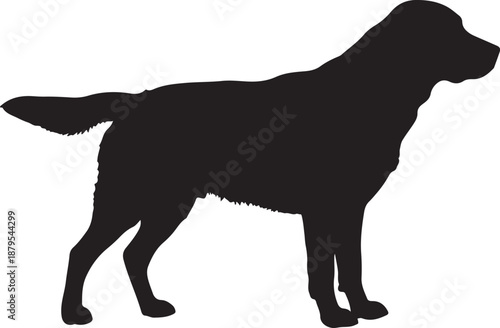 Choco dog in silhouette white background.