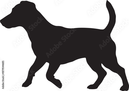 Jack dog in silhouette white background.