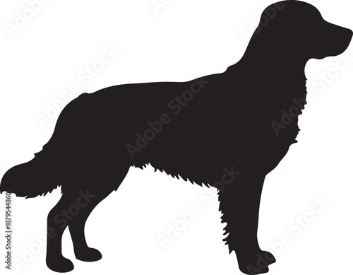  Leo dog in silhouette white background.