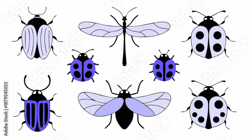 Eight illustrations of insects including beetles dragonfly and flies