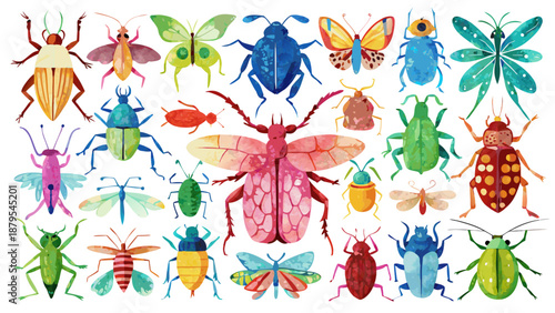 Colorful insects and bugs collection