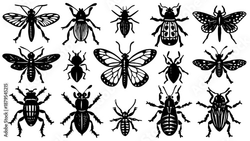 Collection of black silhouette illustrations of various insects