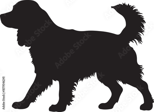  Ruby dog in silhouette white background..
