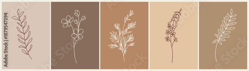 Elegant minimalist botanical line art set of five plants in white continuous lines on neutral beige and brown backgrounds, modern decor style.
