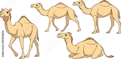 A collection of digitally drawn camels in various poses against a transparent background. The camels are rendered with a soft, warm color palette dominated by shades of tan and beige, with subtle vari