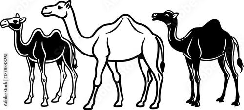A collection of digitally drawn camels in various poses against a transparent background. The camels are rendered with a soft, warm color palette dominated by shades of tan and beige, with subtle vari