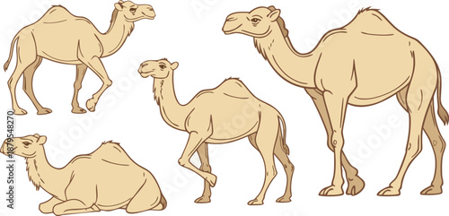 A collection of digitally drawn camels in various poses against a transparent background. The camels are rendered with a soft, warm color palette dominated by shades of tan and beige, with subtle vari