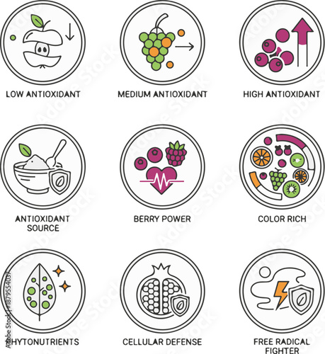 Fruit antioxidant strength line icons showing low to high antioxidant density markers
