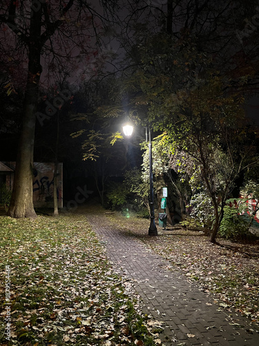 Narrow park path disappears into darkness, illuminated by a single streetlamp. Fallen autumn leaves and deep shadows