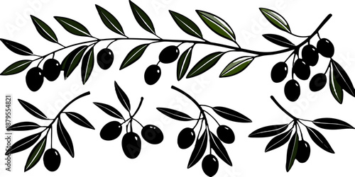 A collection of olive branch illustrations on a transparent background, featuring various arrangements and orientations. The branches display green leaves and olives, with some olives being green and 