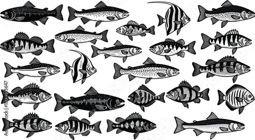 Fish illustration collection, detailed aquatic animal set, vintage engraved fish graphics, freshwater and marine species, black and white vector artwork