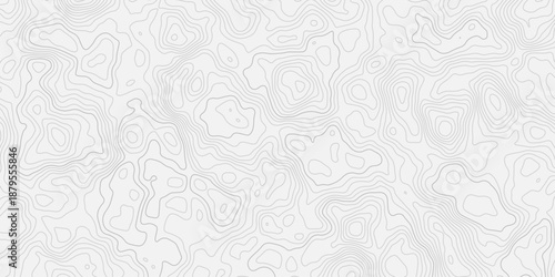 Modern abstract terrain illustration based on contour mapping
Flowing land elevation lines sculpted in white relief texture