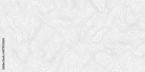 Abstract landform visualization using continuous topographic lines
Minimal white background with smooth flowing terrain relief