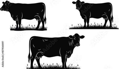 Cow silhouette illustration set, grazing cattle collection, farm animal graphics, livestock vector design, rural agriculture artwork, black and white cows