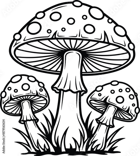 Detailed mushroom illustration featuring three spotted toadstools with grass in bold black line vector style ideal for nature artwork and CAD drawing design