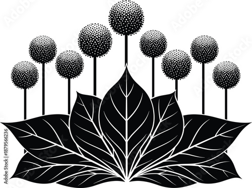 Elegant floral silhouette with layered leaves and dotted round flower heads, decorative botanical design for nature themes, ornamental artwork and graphic decoration
