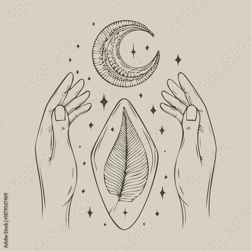 Illustration of hands cradling a leaf and reaching for a crescent moon with stars on a beige background, evoking a sense of mysticism and wonder.