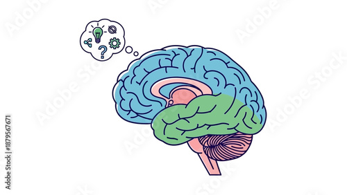 Human Brain Thinking and Problem Solving Illustration.