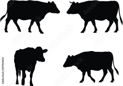 Cow silhouettes in different poses, black cattle illustration, grazing and standing posture, rural livestock design, farm animal, agriculture concept, vector art
