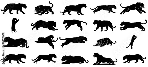 shadow predators saga dynamic black panther silhouettes unveiling primal instinct, stealth, and untamed feline grace set, vector isolated on transparent background