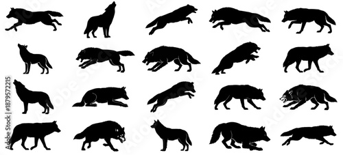 moonlit saga a visual compendium of canine wilderness, evoking the ancient hunt and fierce independence set, vector isolated on transparent background