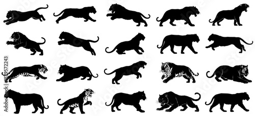 primal instinct unleashed dynamic shadows of the jungles apex hunters, embodying untamed power and silent agility set, vector isolated on transparent background