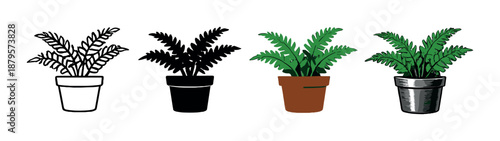 Colorful potted plants in varied light conditions against dark background