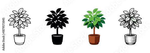 Artistic evolution: four styles of potted plant rendered in unique designs