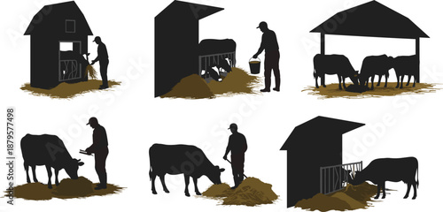 Farmer feeding cows with hay, livestock silhouettes, rural agriculture scene, farm animal care, black vector illustration, village farming, daily work concept