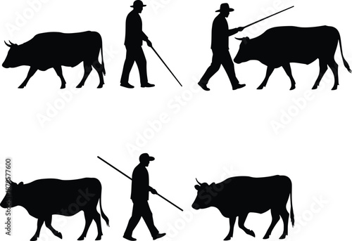 Farmer herding cow silhouettes, livestock guidance illustration set, rural agriculture scene, farm animal care, black vector artwork, pastoral village design