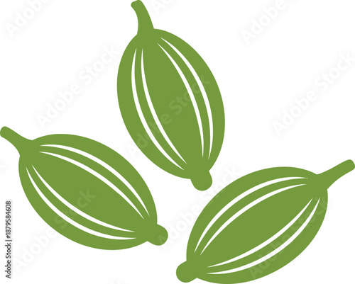 Green Cardamom Pods Vector Illustration, Spice Collection, Culinary Ingredient Icon