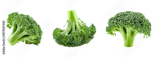 Set of broccoli isolated on transparent background. PNG