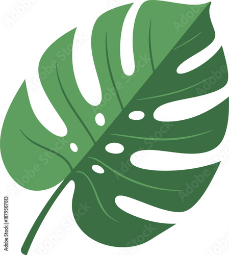 Monstera Leaf Vector Illustration Green Tropical Plant Detail