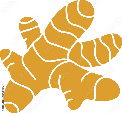 Yellow Ginger Root Vector Illustration with White Lines, Spice and Ingredient